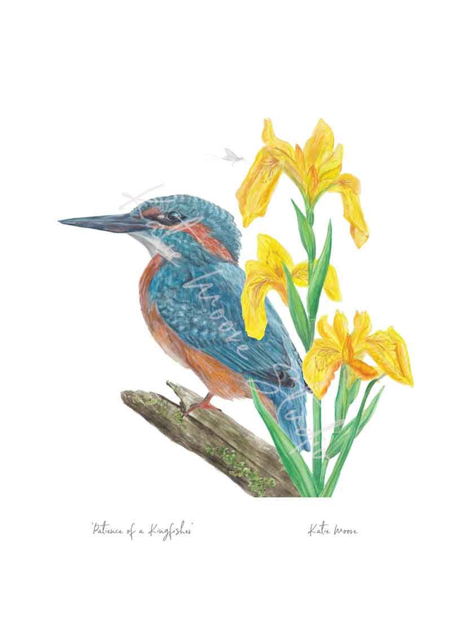 Patience of a Kingfisher