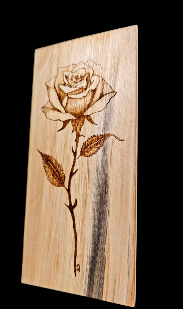 Rose majestueuse 