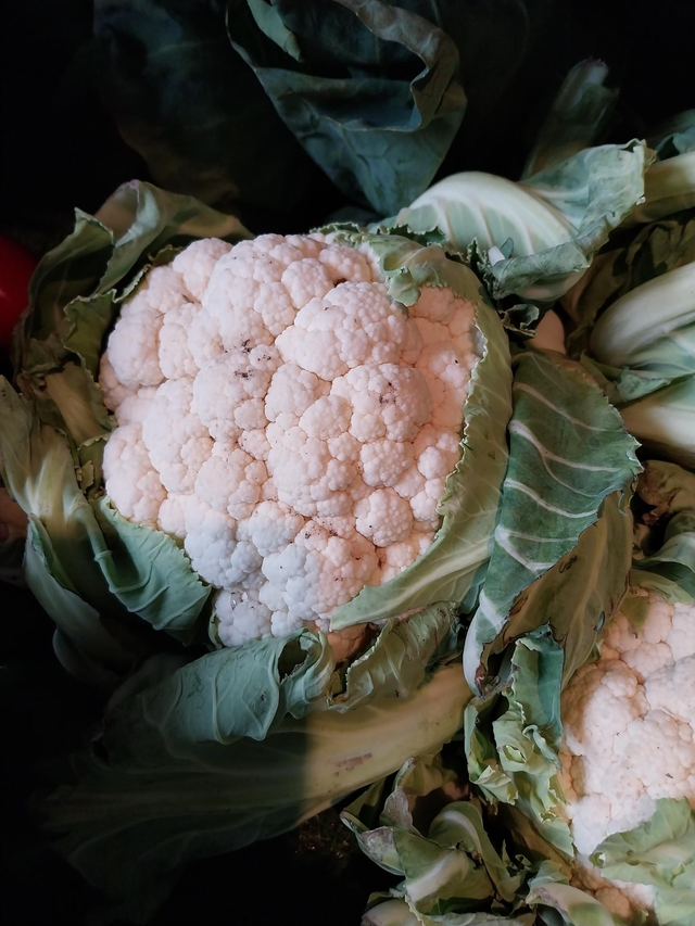 Cauliflower 