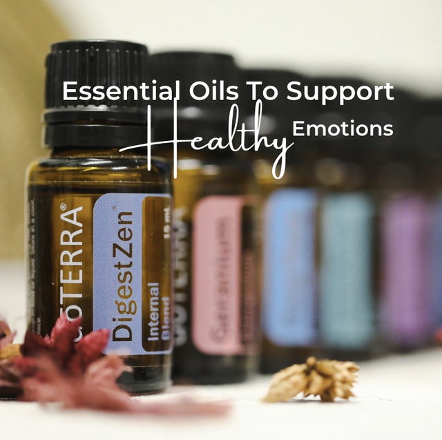 Natures Toolkit: Supporting Healthy Emotions