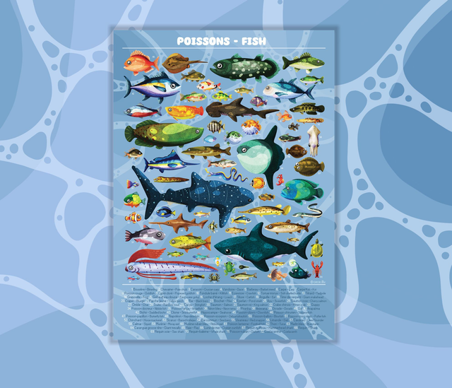 Poster Poissons