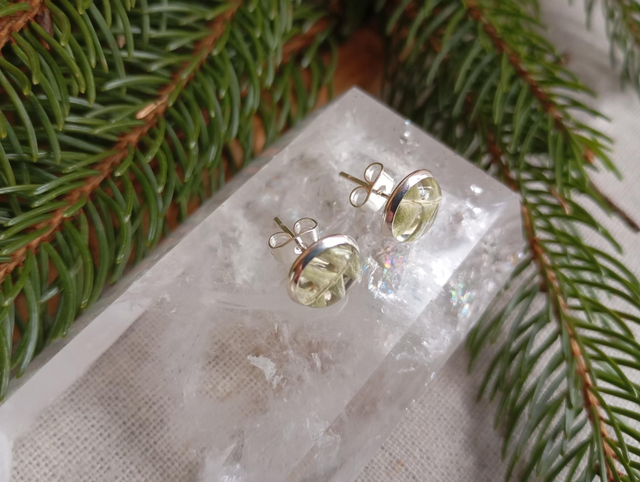 Clous d'oreilles - Fougère