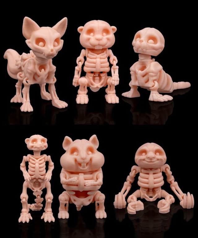 Animaux flexibles : Les petits squelettes (partie 1)