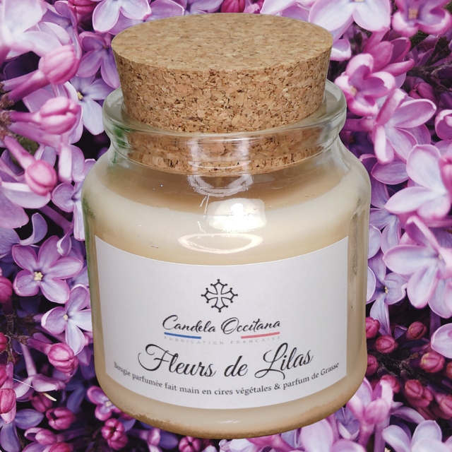 Fleurs de lilas