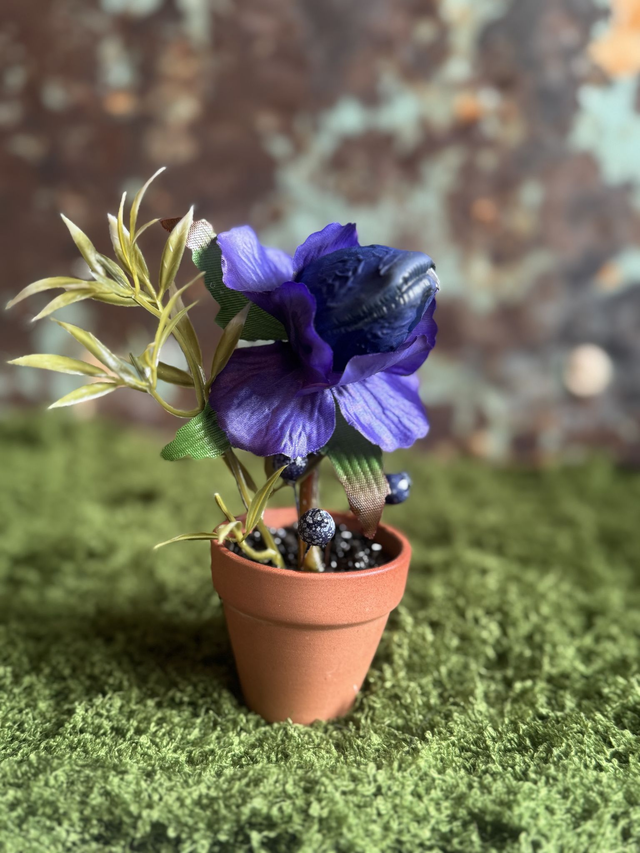 39.🦇 Specimen: Fangbloom