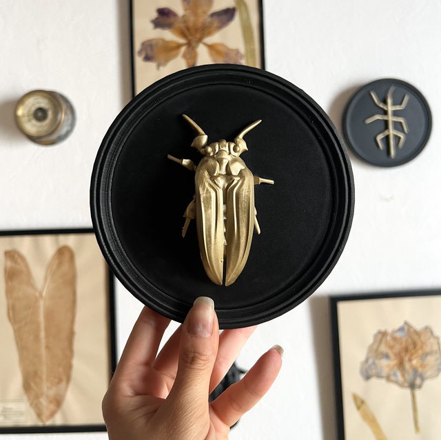 JOSETTE - Cadre rond cigale dorée 