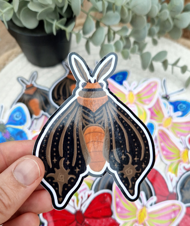 - Papillon nuit secrète -