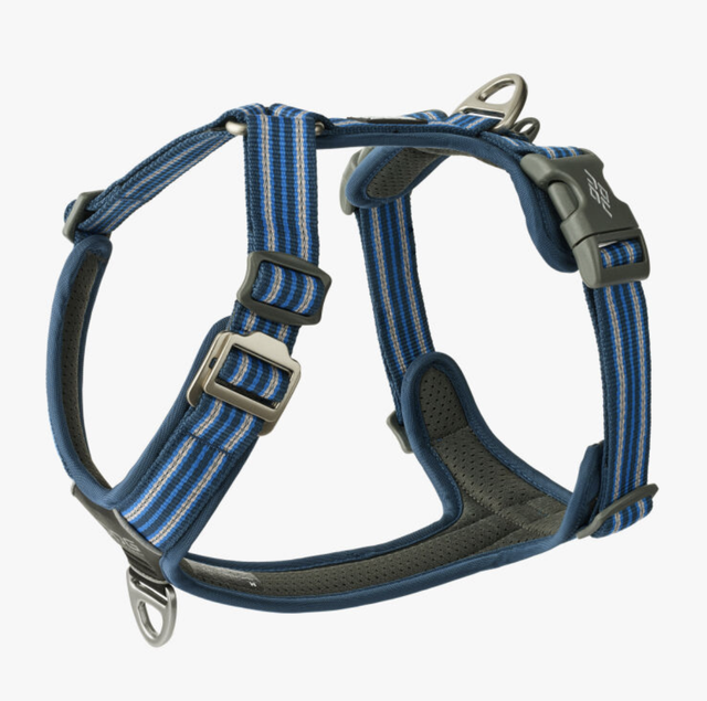 V3 Comfort Walk AIR 'Ocean Blue' Geschirr von Dog Copenhagen