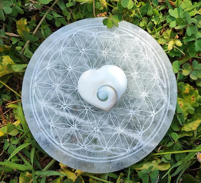 Cœur Oeil de Sainte-Lucie 