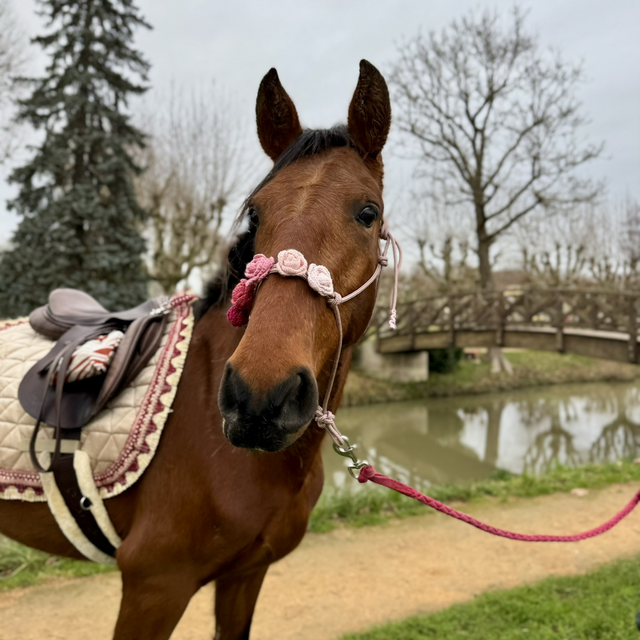 PERSONNALISATION licol Rosalia