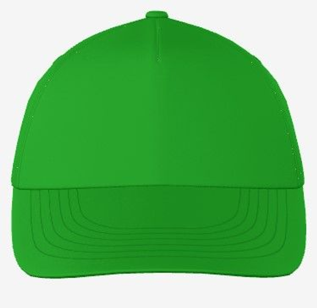 Casquettes (pack de 25 pièces)