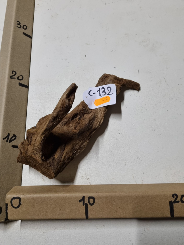 Racine Mangrove C-132