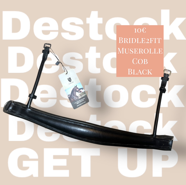 B2f muserolle bride cob 