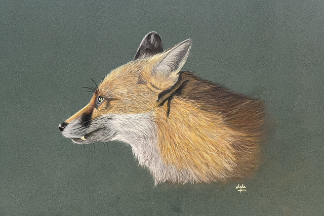 Fox