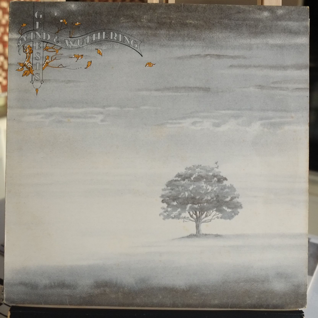 Genesis - Wind &amp; wuthering