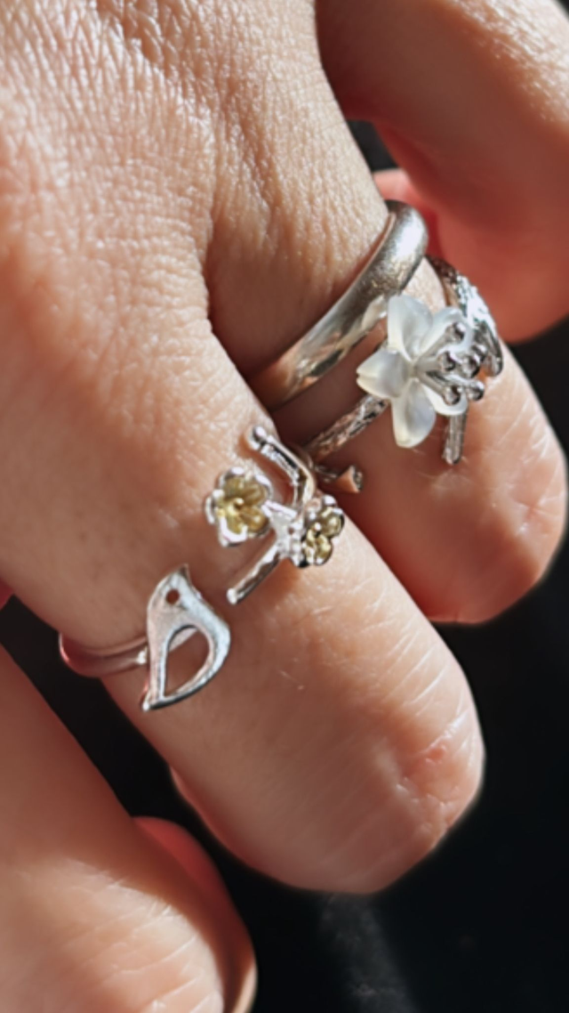 Anello BIRD