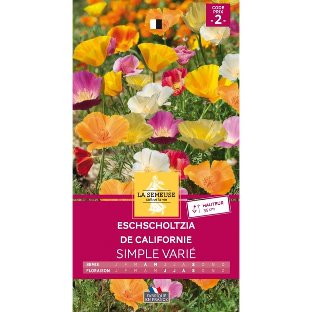 Eschscholtzia De Californie Simple Varié