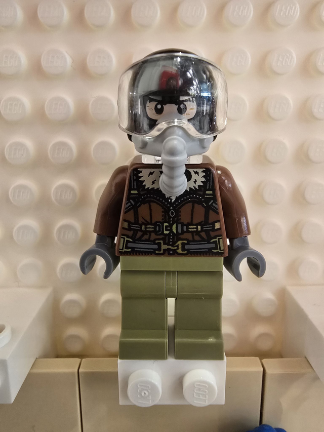 LEGO sh0775 Vulture Minifigur