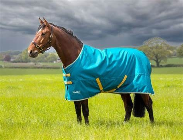 Shires Tempest Original 50 Turnout Rug
