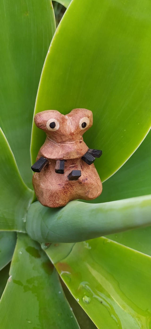 Dentone: figura de colección los Boscaioli tallada a mano en cedro de Honduras. Cada personaje es único y original creado exclusivamente por mi. 
