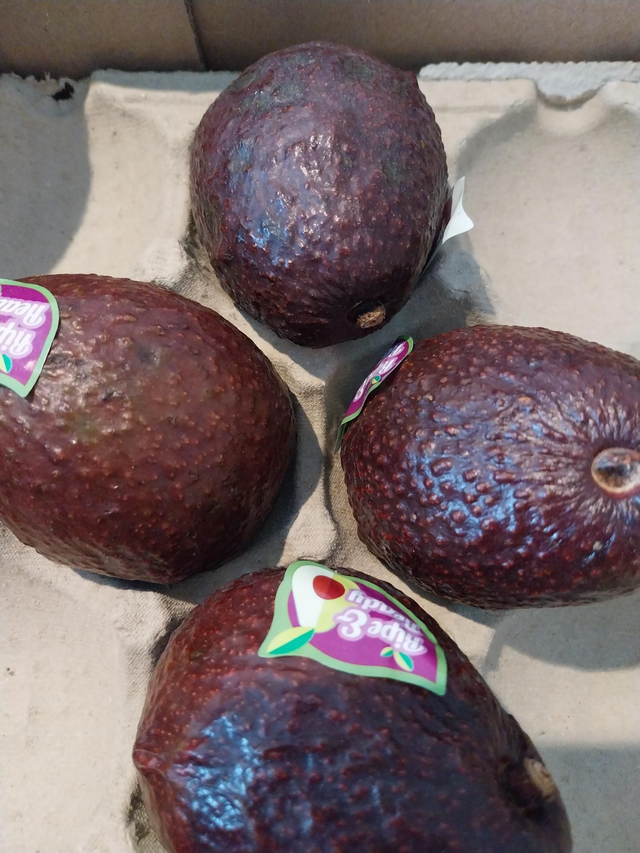 Avocado Ready to Eat 