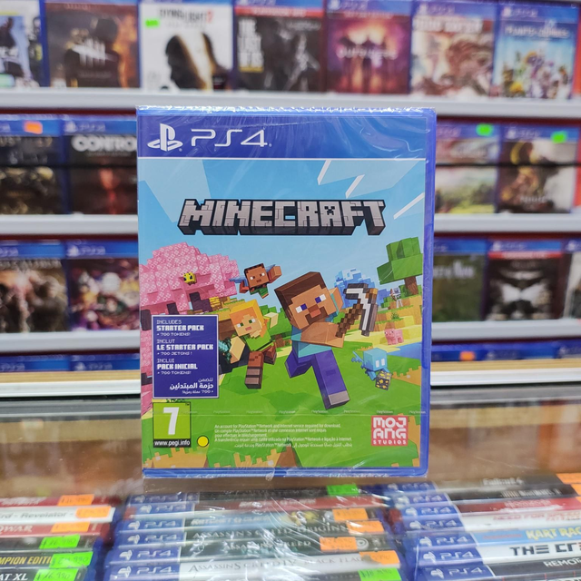 Minecraft Starter Collection