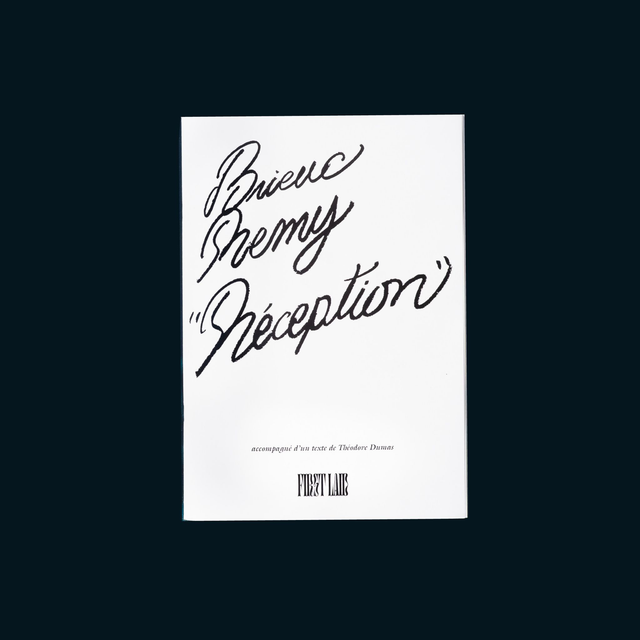 Remy Brieuc, Réception