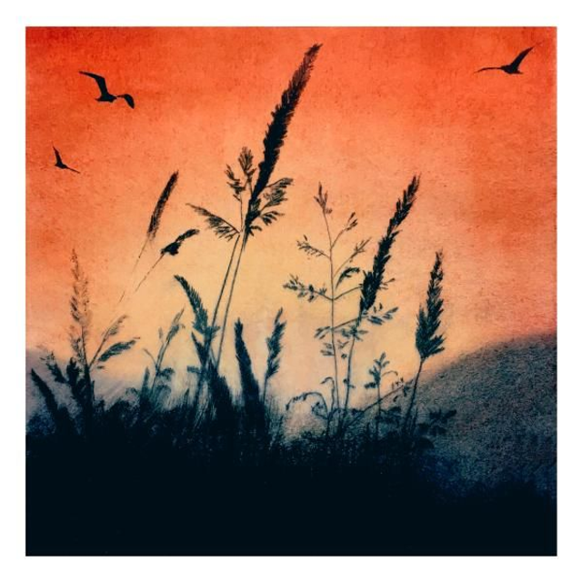 'Mountain Grasses' cards x 3
