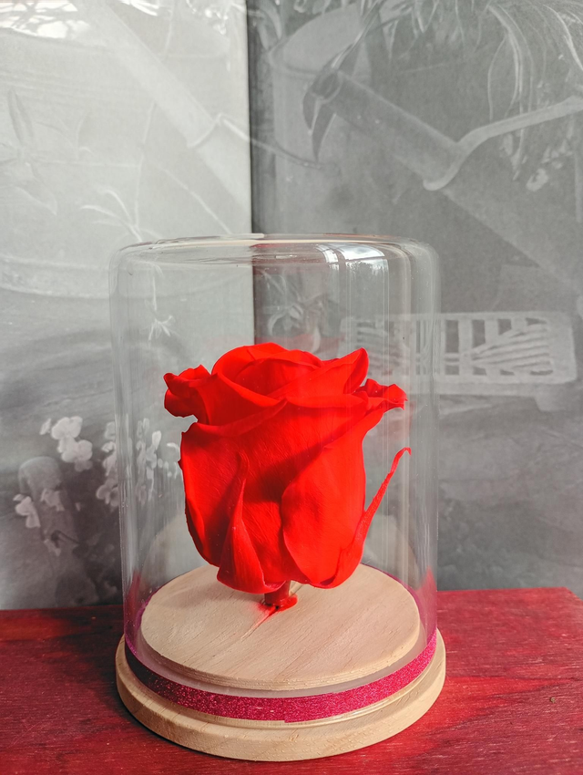 S05 unique rose rouge