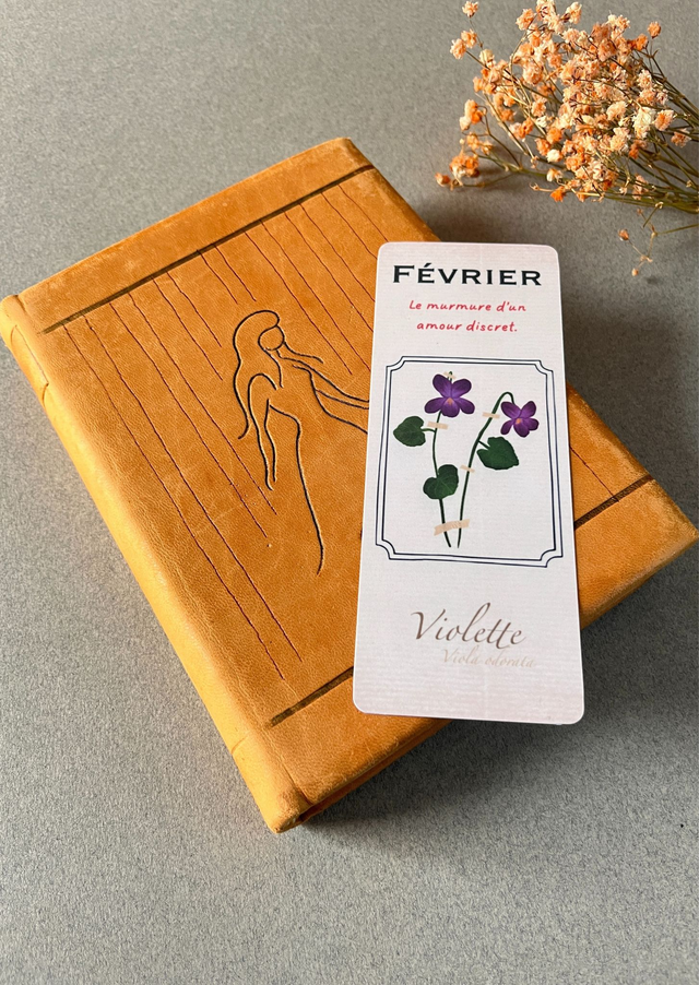 Marque-pages 02. Février, La Violette