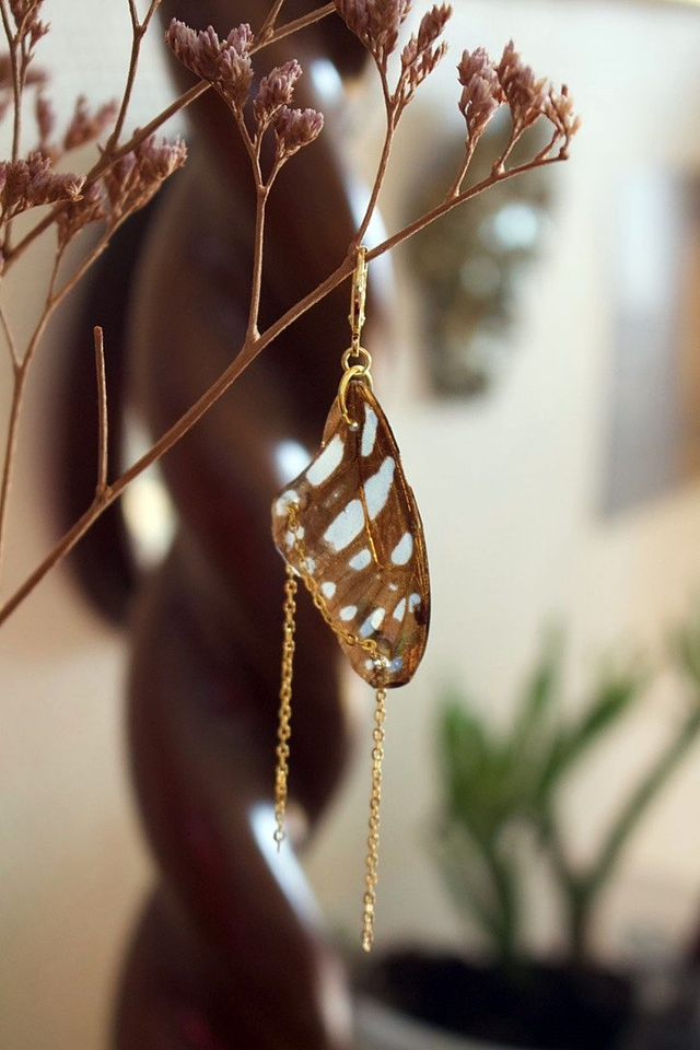 Monoboucle ailes de papillon