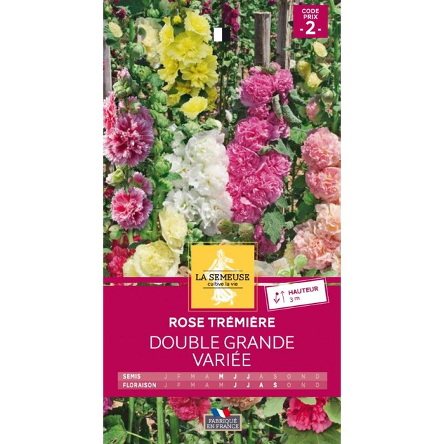 ROSE TREMIERE GRANDE DOUBLE VARIEE