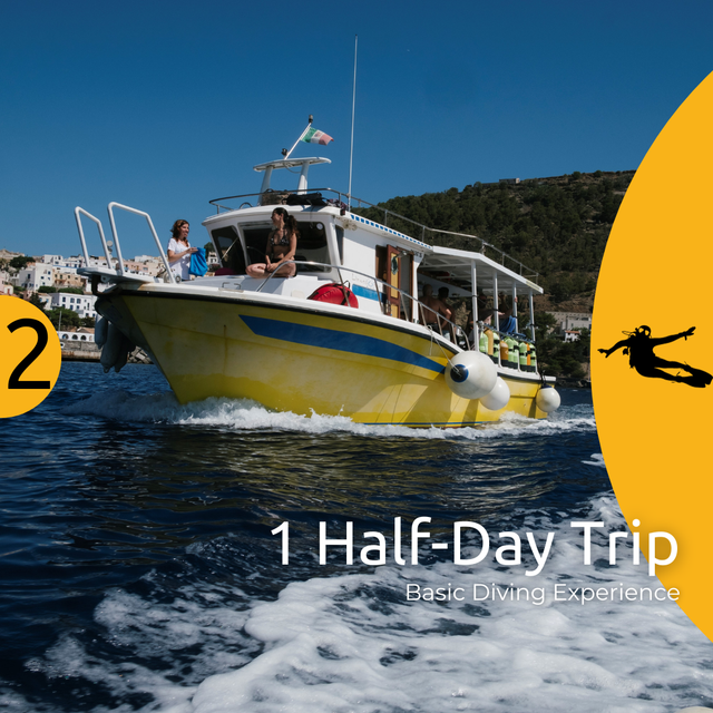 Half-Day Dive Trip Packages