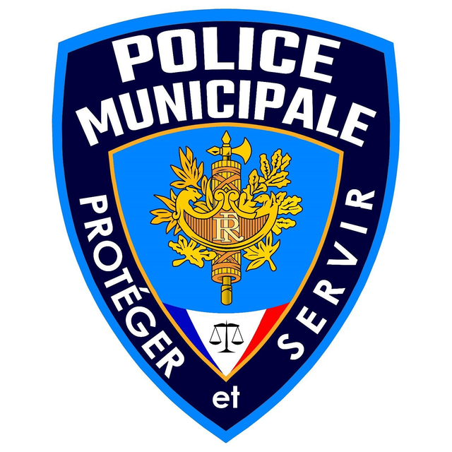 Sticker GM PM style NYPD-REP
