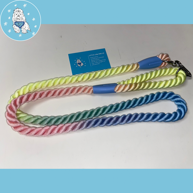 Rainbow Rope Lead 