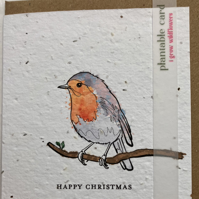 Seed Card Christmas Robin
