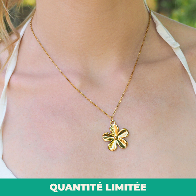02 - Collier Naya