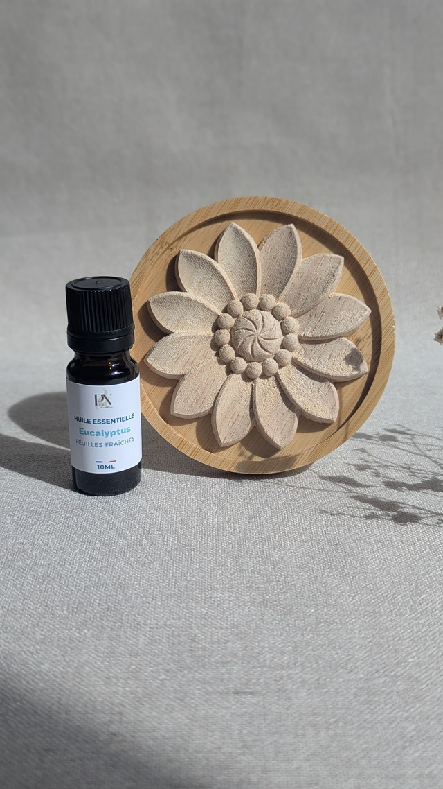 Diffuseur en bois & huile essentielle d'eucalyptus