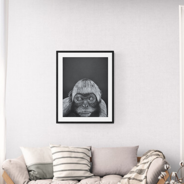 Atèle varié de colombie - Aquarelle originale