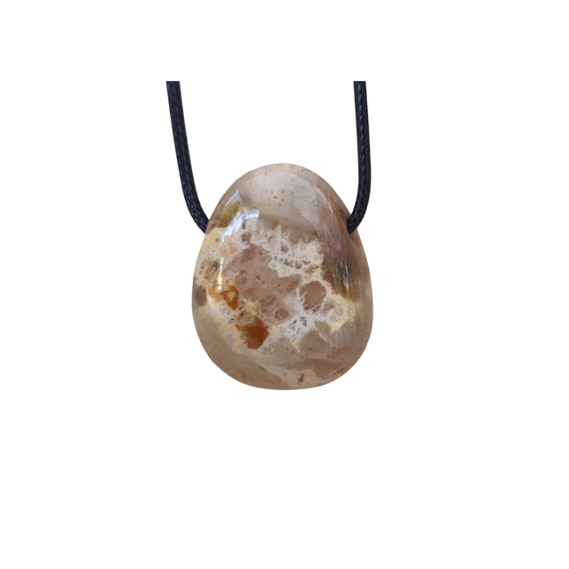 Pendentif Bois Fossilisé 