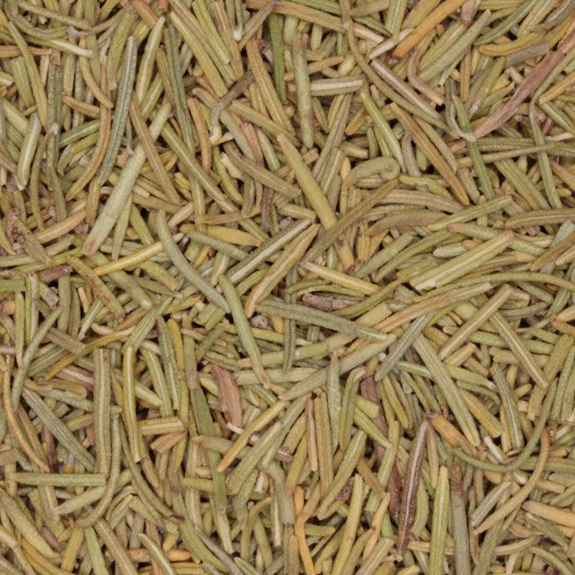 Rozemarijn (rosemary) (Rosmarinus officinalis) - BIO