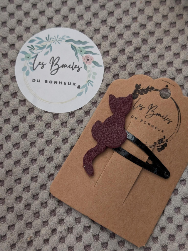 Barrette b038