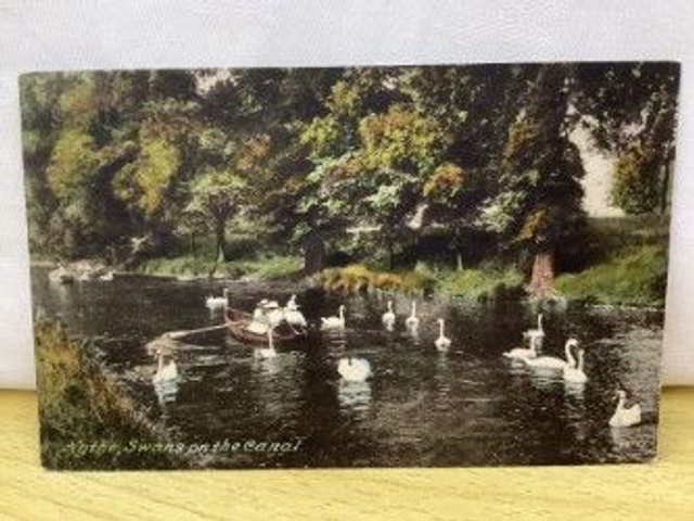 Hythe, Swans on the Canal, Kent, F. Frith &amp; Co. Ltd Vintage Postcard. Our Ref No R386 £2.25