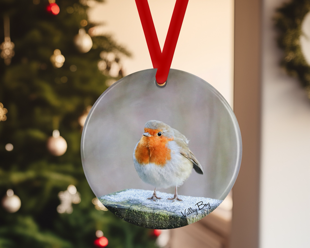 "Frosty Toes" Ceramic Christmas Decoration 