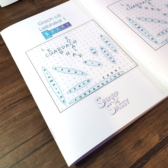 Leabhar Cuardach Focal (Leibhéal 1) - Crossword Book