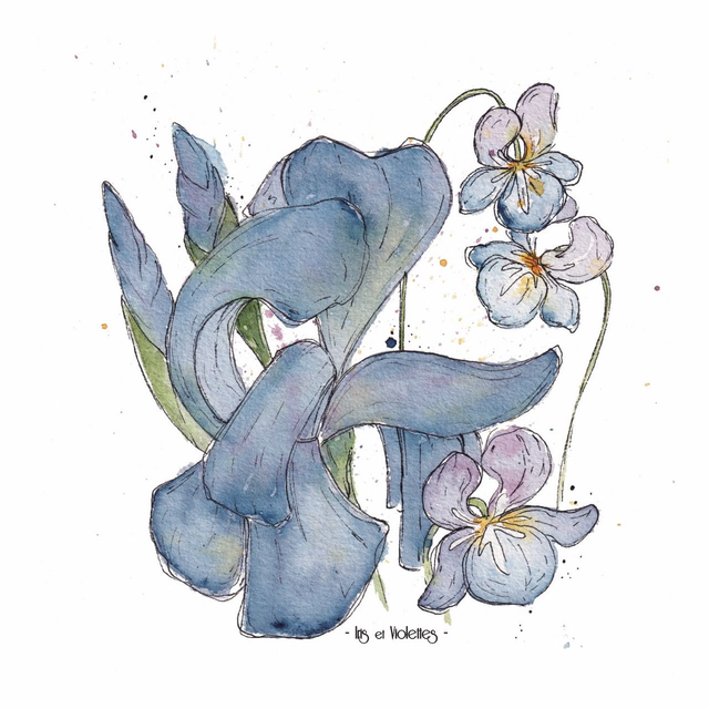 Iris et violettes