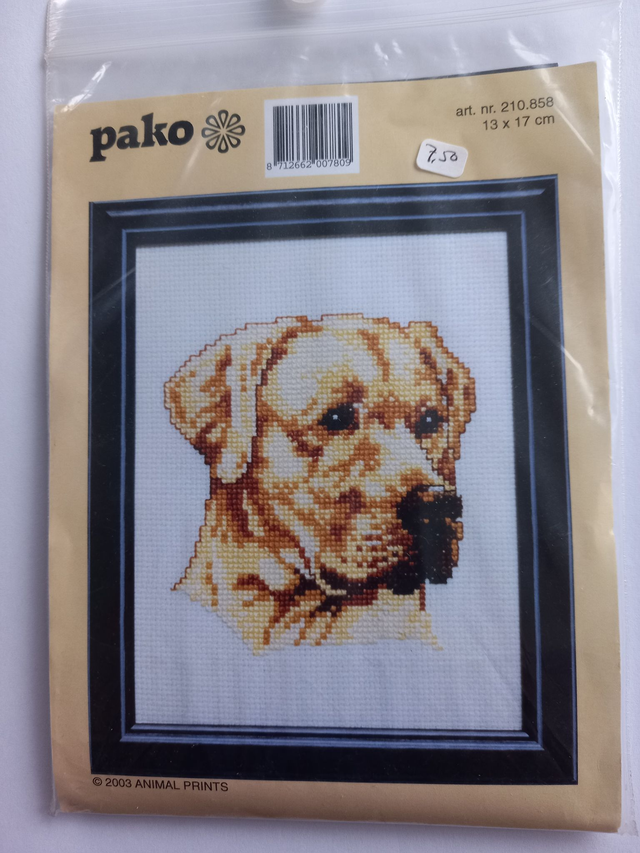 Borduurpakket Golden Retreiver (210858)