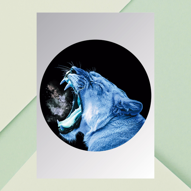 Impression Rugissement de Lionne - Décoration Murale Faune Sauvage / Lioness Roar Art Print - Wild Animal Wall Decor