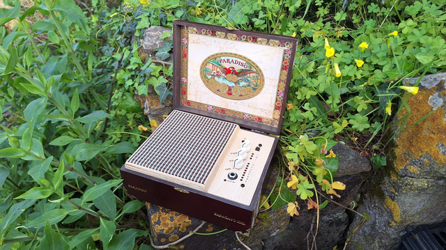 Paradiso Cigar Box Guitar Amplifier