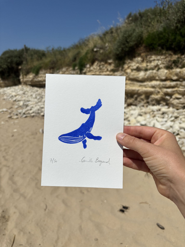 La baleine 2 "mini"